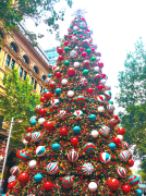árvore-de-natal 24 lista